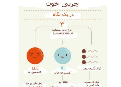 اطلاع نگاشت ، چربی های خون در یک نگاه