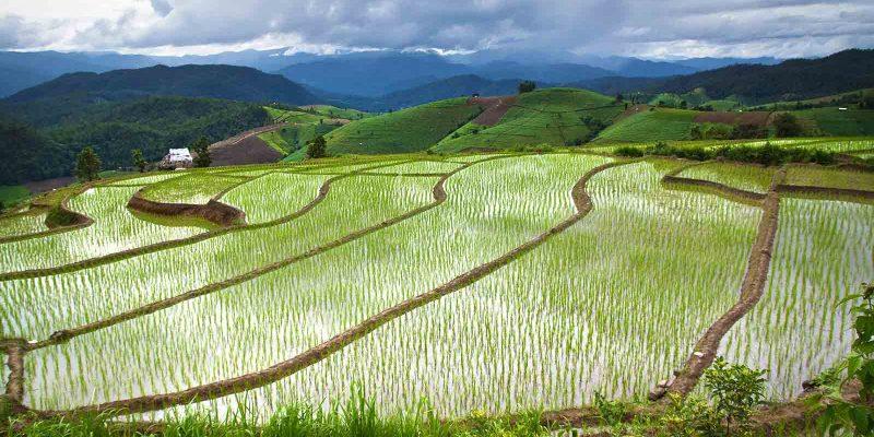 کشور تایلند دانستنی های تور تایلند
