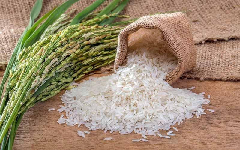 توزیع قطره چکانی ارز به واردات برالتهاب بازار برنج دامن می زند