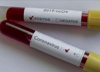 کروناویروس؛ از واهمه ها تا واقعیت ها ، آگاهی بیماری همه گیر را در هم می شکند