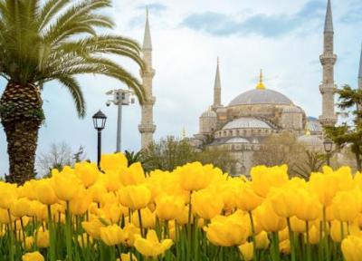 تور استانبول: برترین فستیوال های استانبول